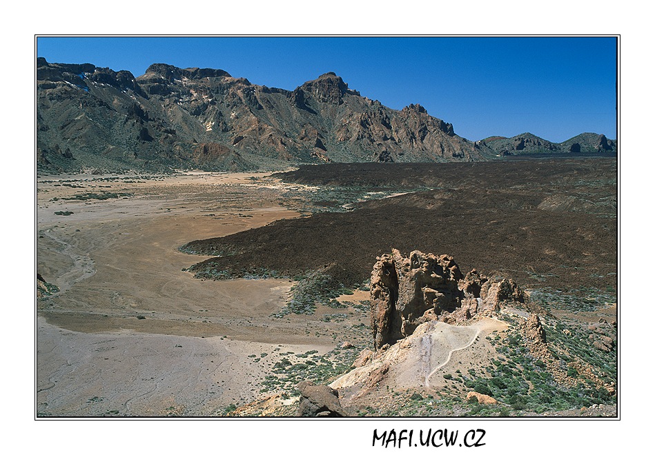 canaria06_05_15 .jpg